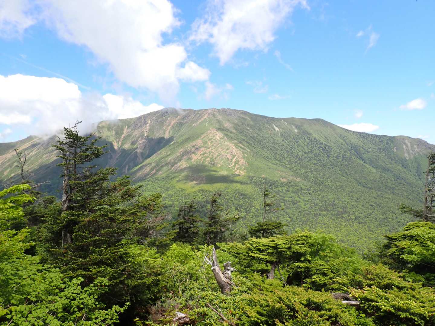薬師側から見る早池峰山も良き🩷
