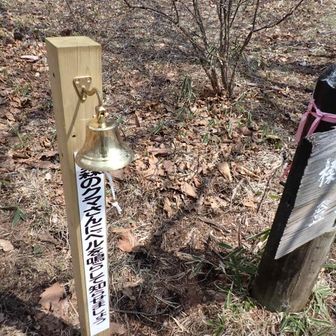 ここにも熊さんが出るようです。