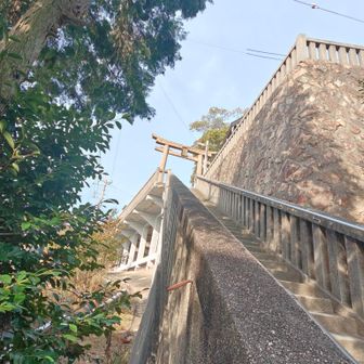 天に抜ける様な雰囲気です✨️