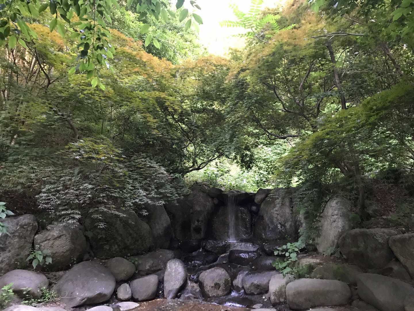 少し奥にいくと小さな小さな滝がありました❣️