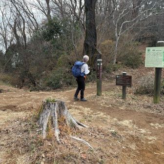 ついた！桜峠だ！