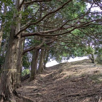 ↑急登坂だけど…
もうあそこじゃね～🧐