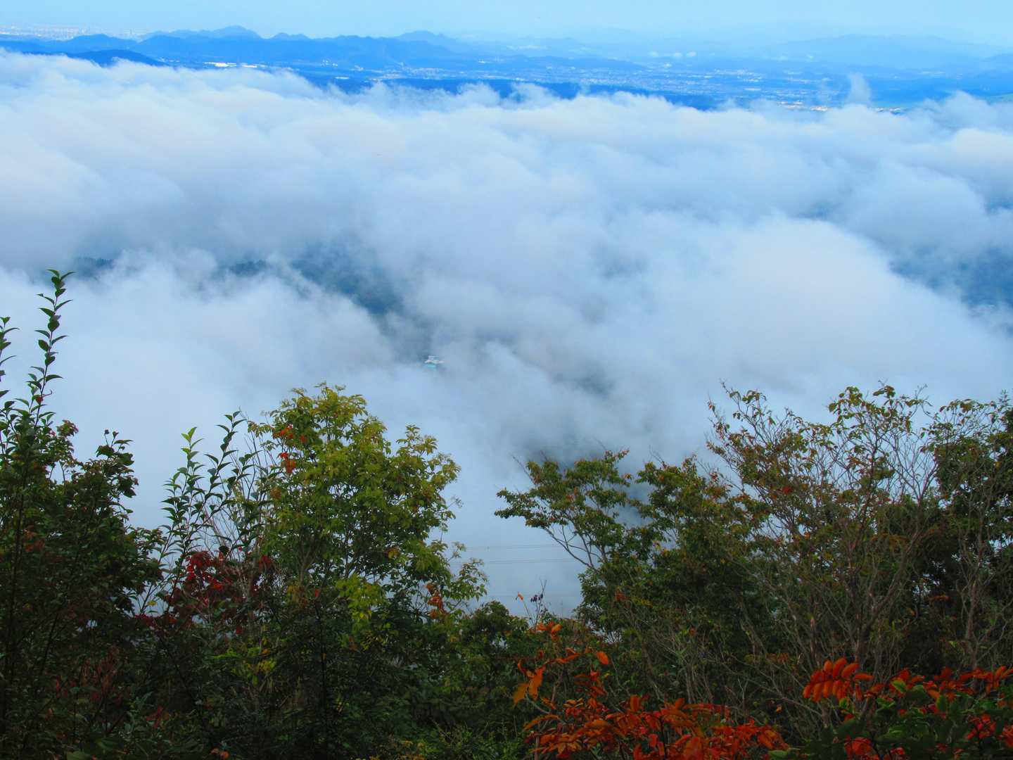 小展望のよき風景。