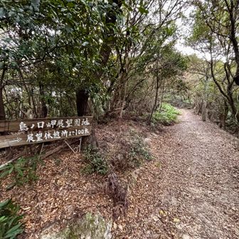 烏ノ口展望台へ