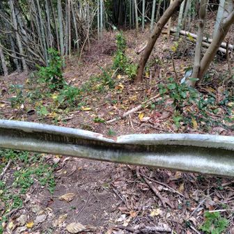 潮見山の入り口
ガードレール跨いで行きます