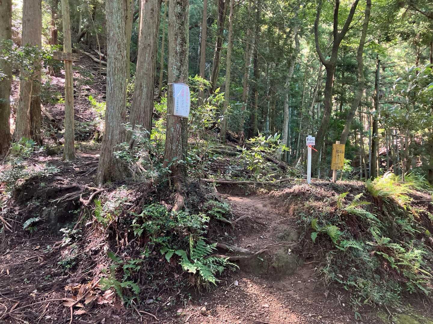 ここから雲母コースの難所