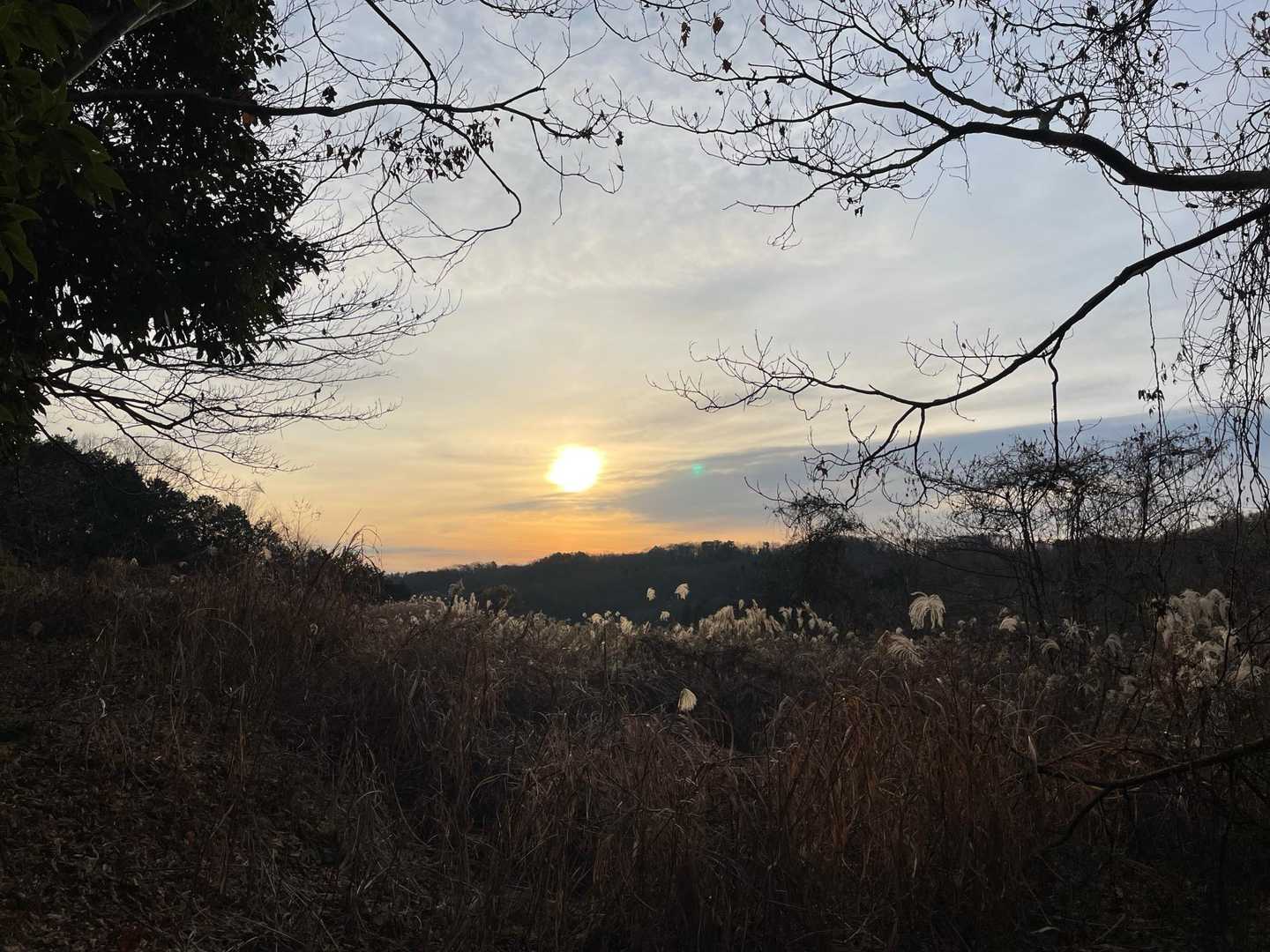 東屋の先から東側の展望が開けています。