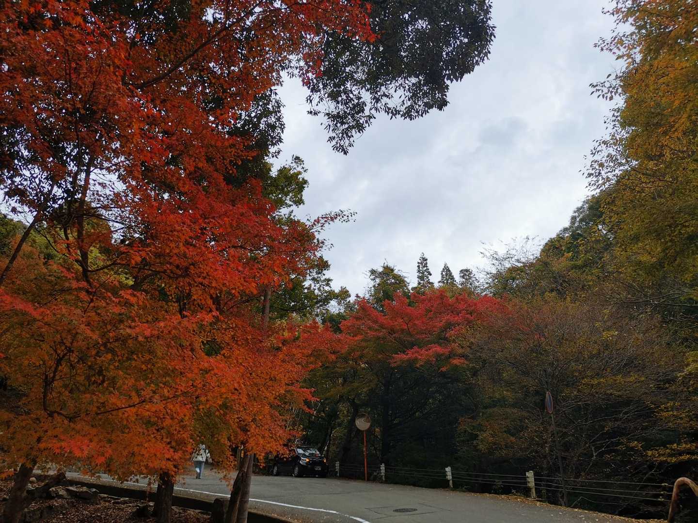 春日山遊歩道へ
