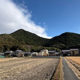 三上山、今日は特別綺麗に見えるなぁ😊
今年は昨年以上に頑張って登りに来ます