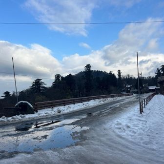 車道の雪は溶けてます