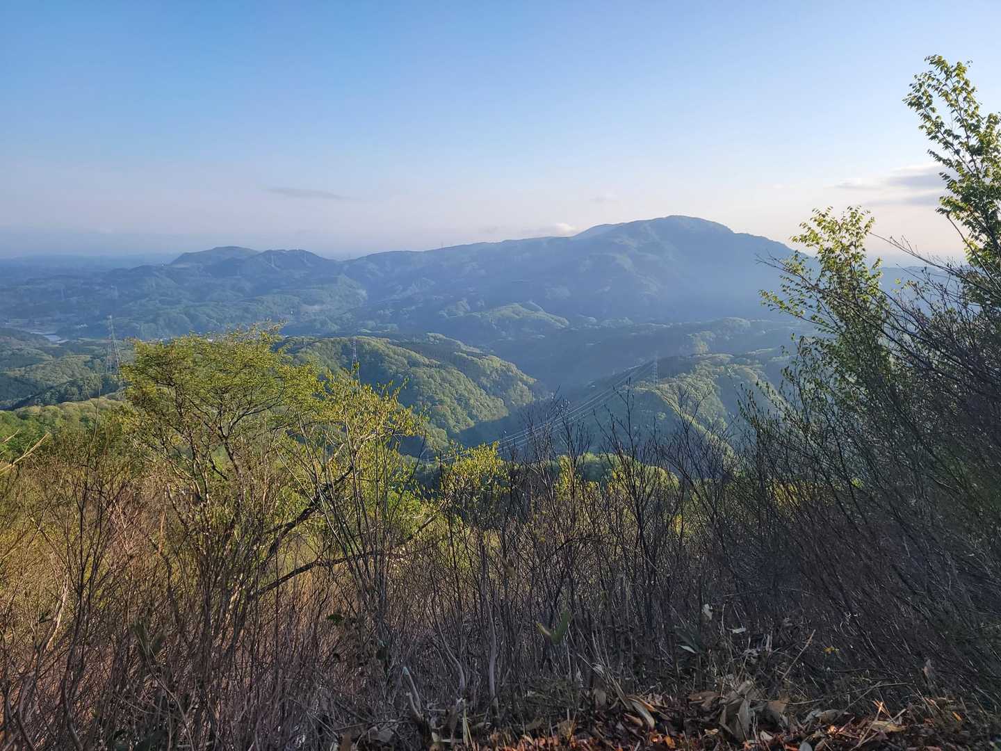 高尾山から見た景色