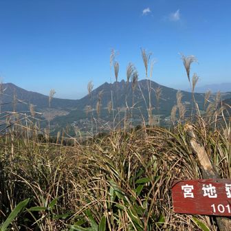 藪漕ぎするか迷いに迷って行った宮地嶽

