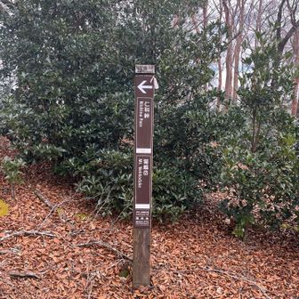 ここで確か猫越岳ってここか！全然余裕だな！ってアホみたいな勘違いしてた。