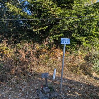 秋葉山の山頂標。