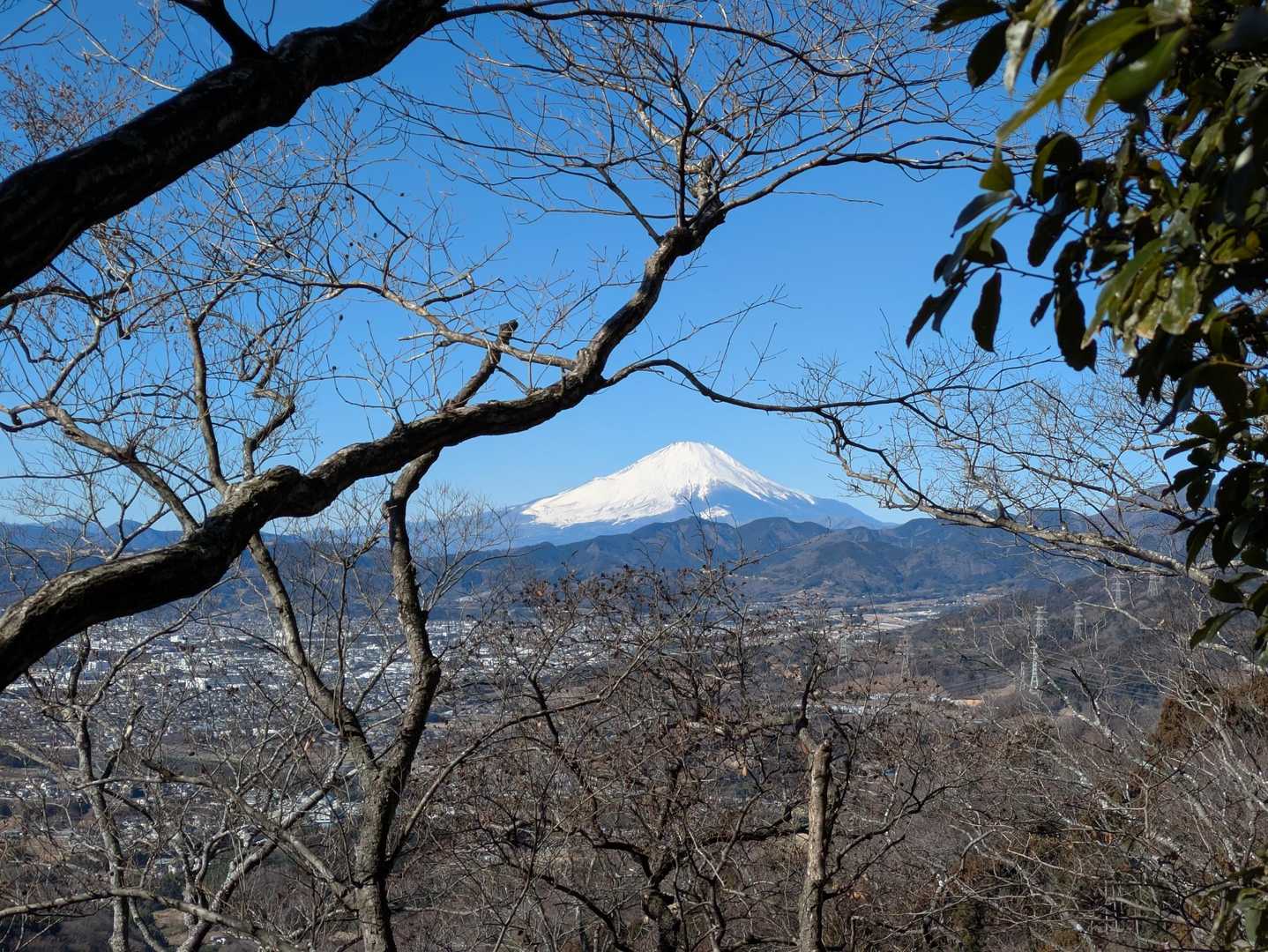 分岐で大山方面と反対側の奥に行くと富士山がきれいに見えました