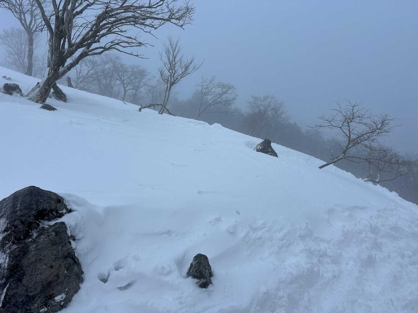 ここ本当に三重県⁇