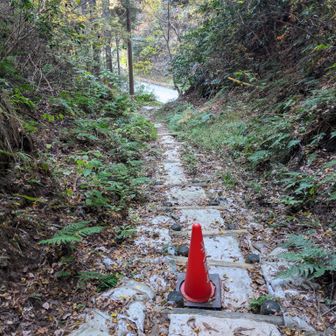 階段がコンクリートになってました