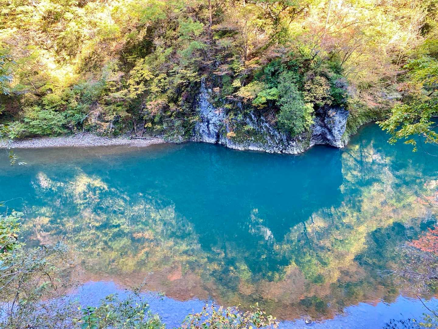 紅葉が🍁水💦に映って
