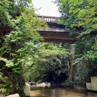 たくさん方が沢登りに来られてました