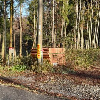 オッチャンの自転車🚲はありません