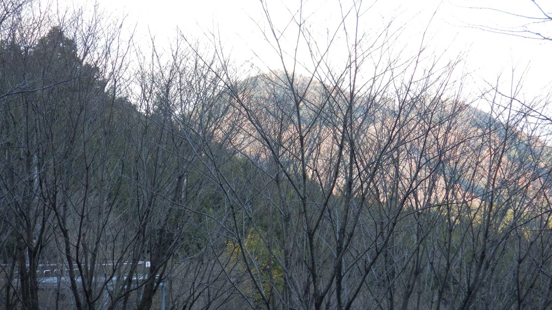 途中振り返ると、たぶん鞍掛山
