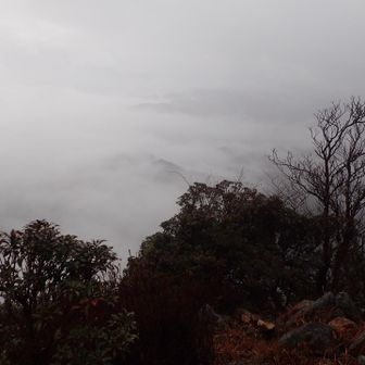 もう少しガスが取れると良い景色になりそう