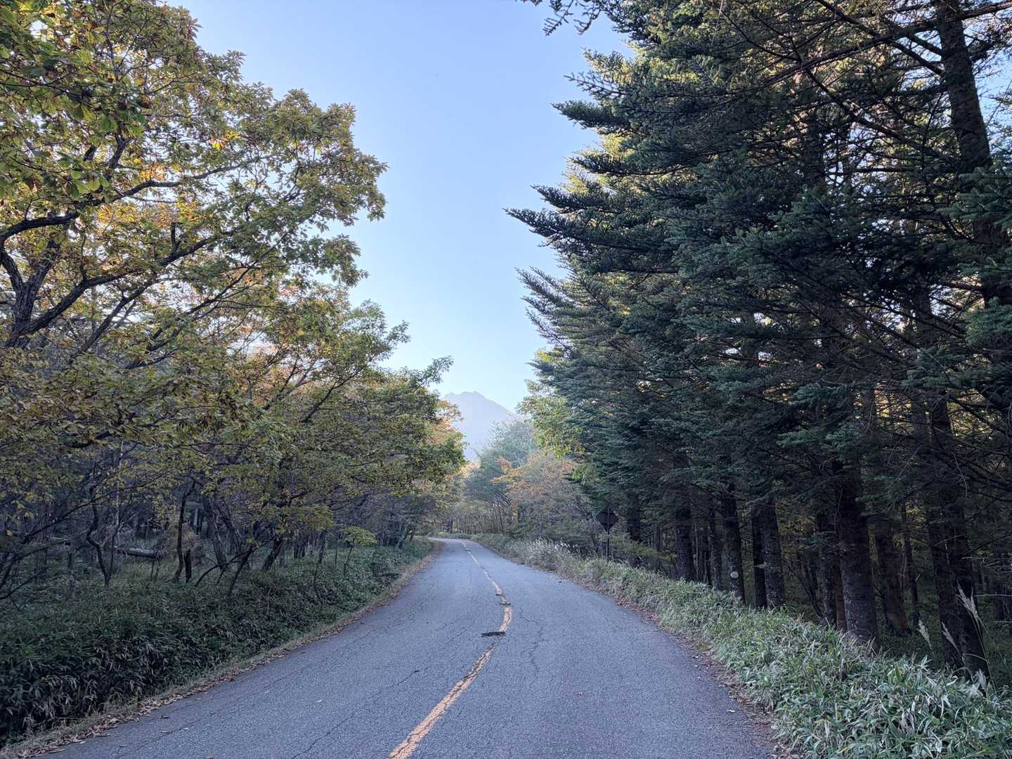 振り返れば赤岳が見送ってくれ