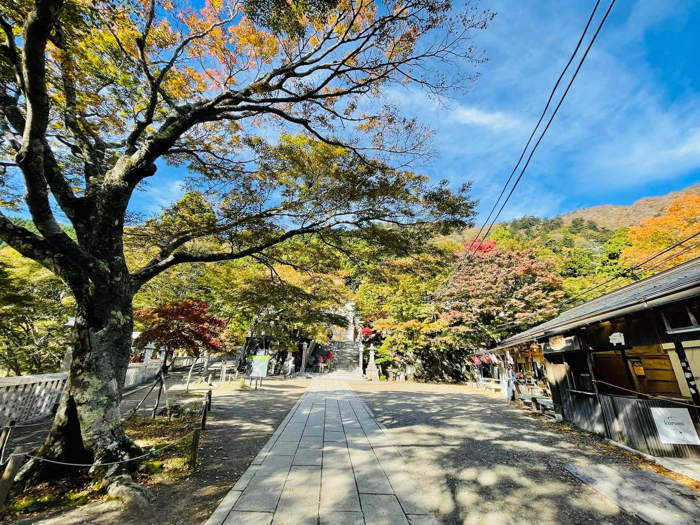 さくらや広場に到着！