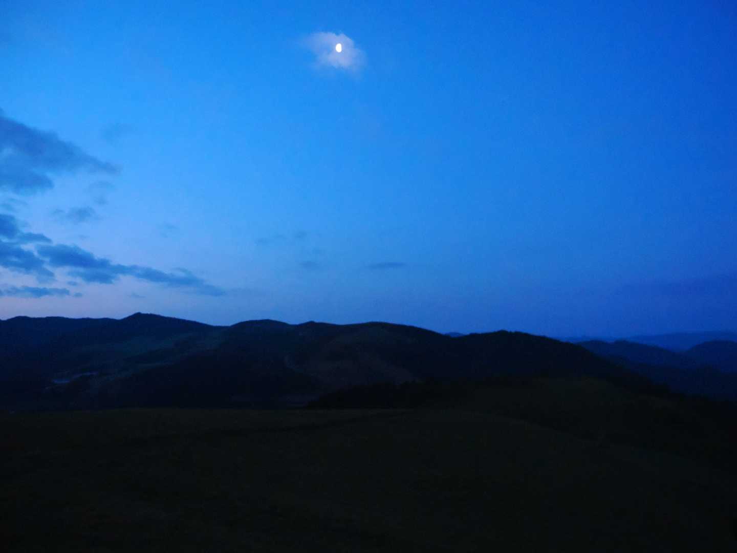 天城峠バス停-天城峠-二本杉峠-滑沢峠-つげ峠-猫越峠-水 縦走コースの写真