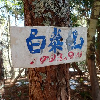 3つ目の標識。白泰山1793m。久しぶりに高い山に登れました🤗
