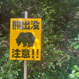 絶対、絶対会いませんように。
あっても顔は辞めてください。
一応顔も商売道具。傷のある顔でマスク😷して
お加減いかがですか〜？なんてナース居たら
困っちゃうでしょ？