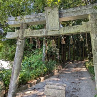 無事下山‼️💦

そしてその時
苦しかったことは全て跡形もなく忘れ去るのですね🤭