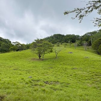 いきなりコロボックルの隠れ村がありそうな場所にでた