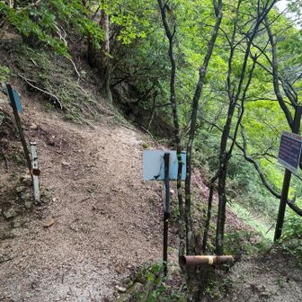 この看板群が見えてきたら、、、