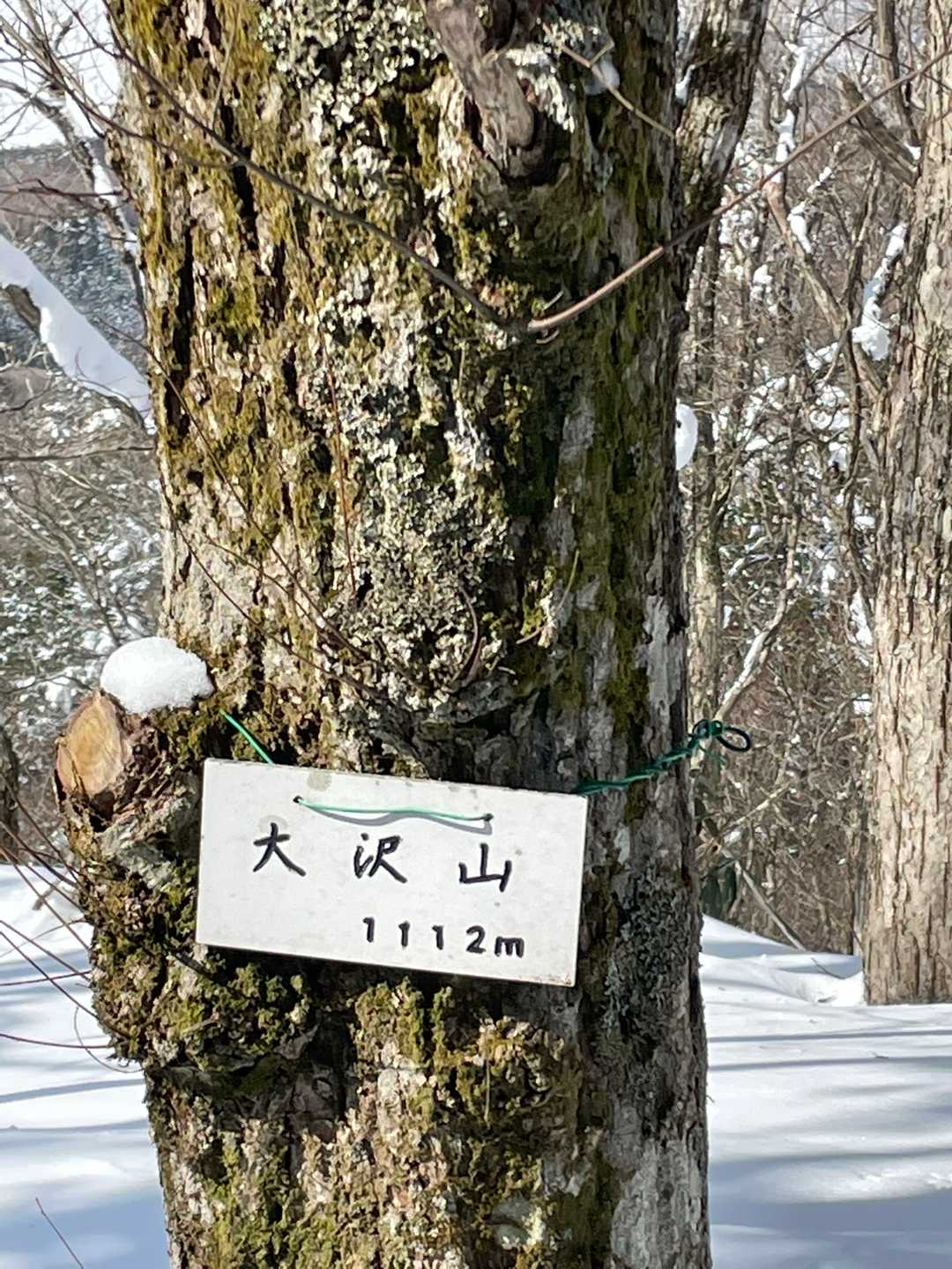 大沢山