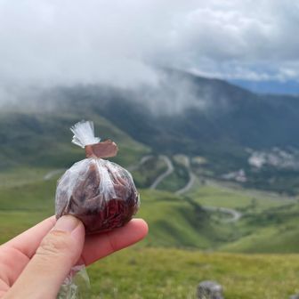 山頂は羽虫大量でゆっくり出来なかったので、この辺で小休止😋