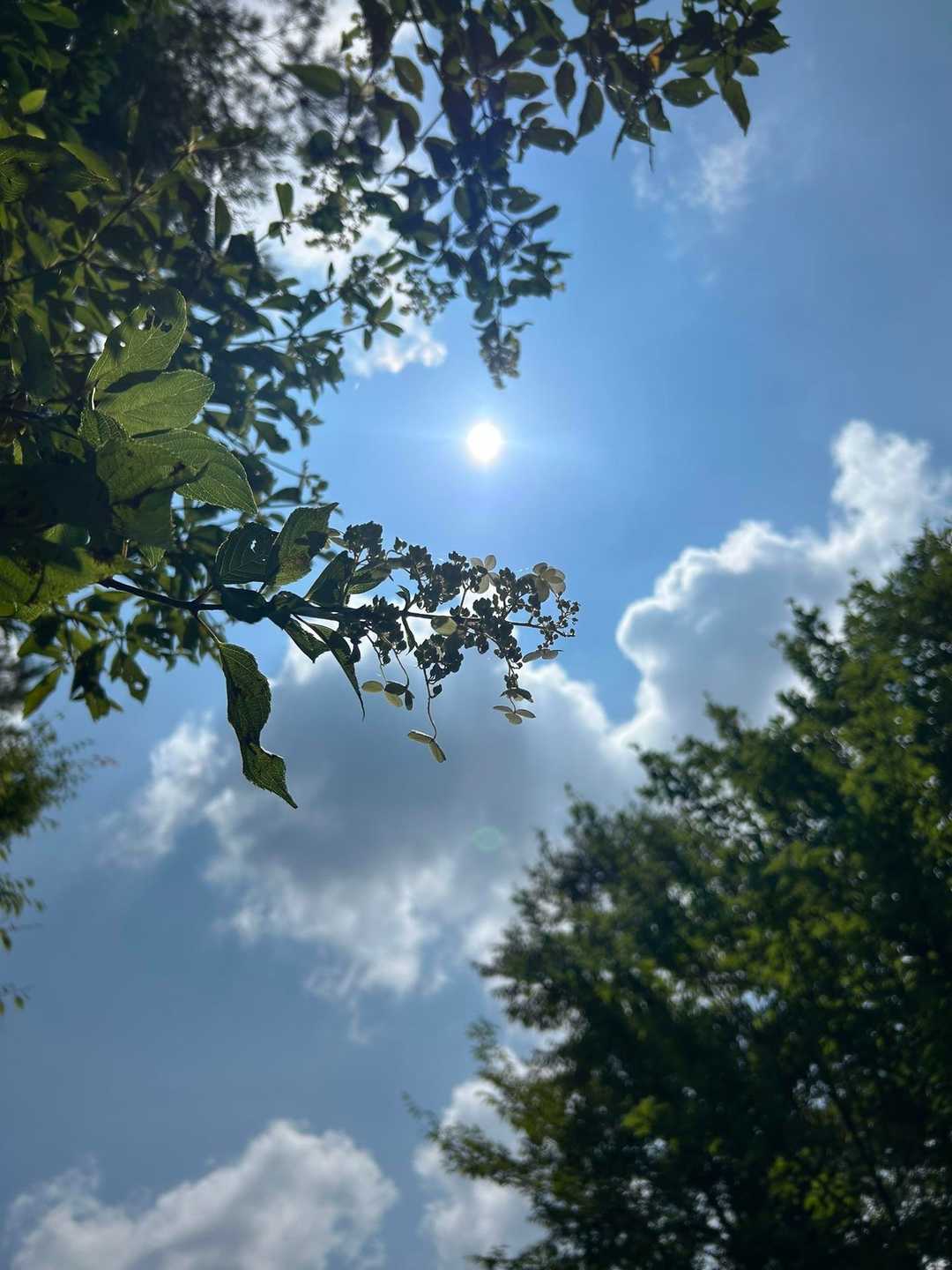 夏の日差し、まだまだという感じですが、とても涼しかったです。
