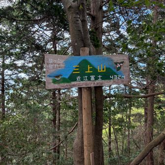 三上山山頂