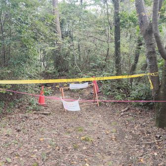これはテープを超えた側からですが、国見台分岐の通行止め状況。
「歩道陥没」と書いています。
矢田寺側にも同じの貼ってくれたらいいのに。