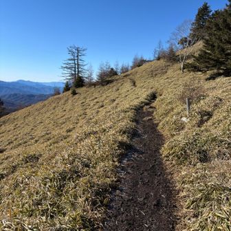 天狗棚沢山から引き返してきました！ここから上日川峠まで歩きます🥾