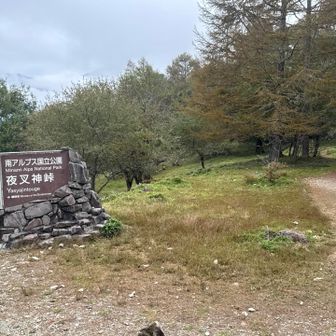 ここから駐車場、バス停まではさらに40分下る