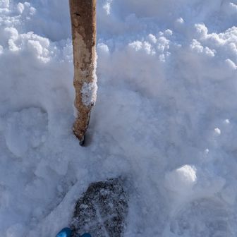 三角点近くに棒があったので、三等三角点の横に刺し直しました🙂
