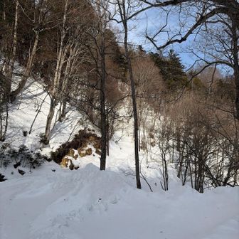 出発時、岳ちゃんの姿が見えない。宿のご主人に聞くと「3人組のお客さんに喜んで着いて行ったよ」と。「最近出掛けてなかったけど、調子がよかったのかな？」って。