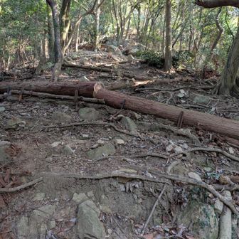 登っても登っても激登り💦