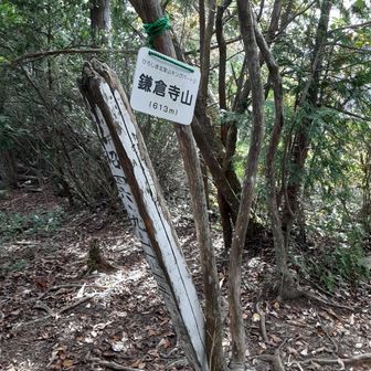 登山口からちょうど２時間でした。