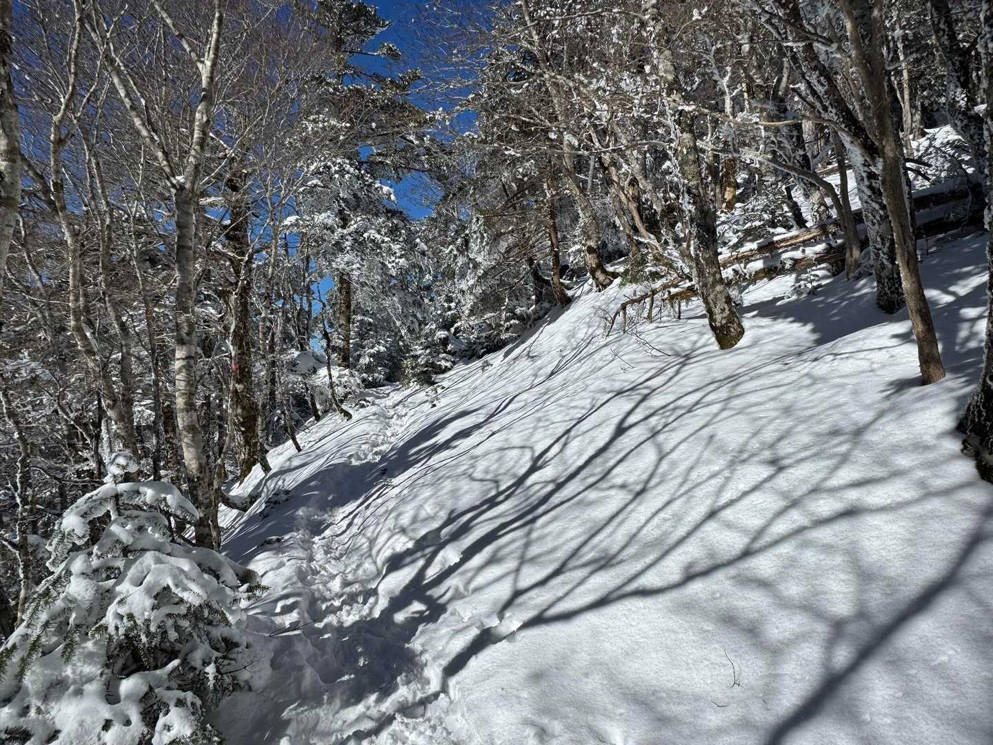 絶景もゆっくり見れたし、日暮れの時間までには余裕で降りられるし、暑くも寒くもなく、トレースも明瞭で危険箇所もないので、多幸感に包まれながらのんびりと下山しました☺️
