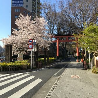 コンベックス