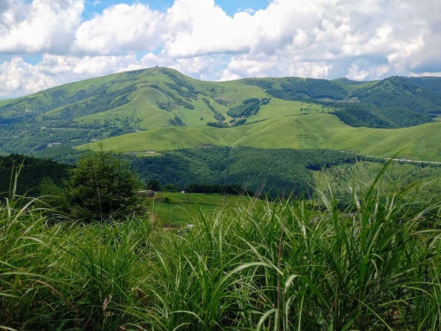 蓼科山登山口-八子ヶ峰東峰-八子ヶ峰 縦走コースの写真