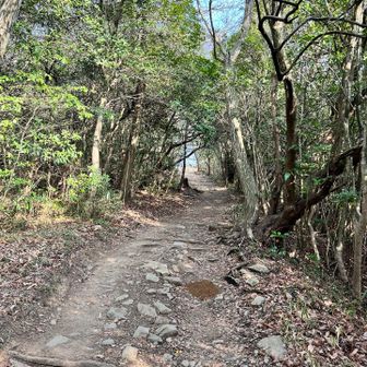 
帰り　頂上を少し降った所へ運んだ土を撒きました。
今度は土嚢運べるかなあ…😆
