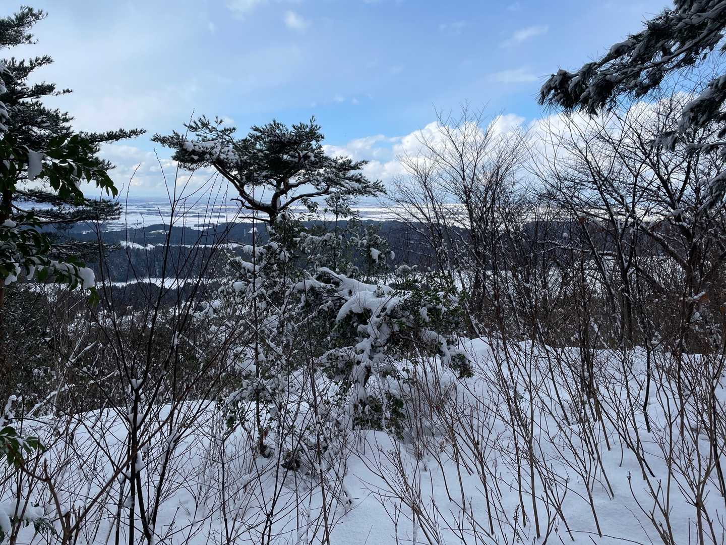 山城だわ